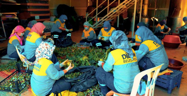 Didim Belediyesi Doğal Ürünleriyle Vatandaşlarla Buluşuyor