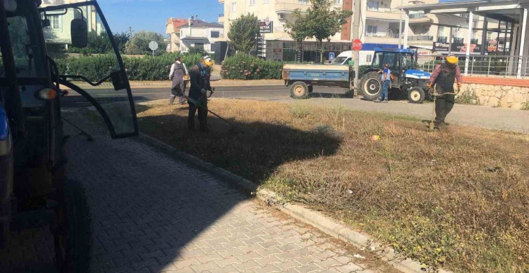 Didim Belediyesi yeşil alanlarda bakım çalışmalarını sürdürüyor