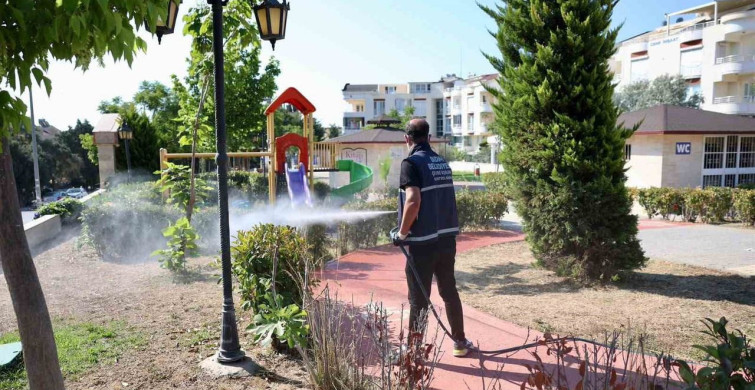 Didim belediyesinden daha sağlıklı yaşam alanları için kapsamlı çalışma