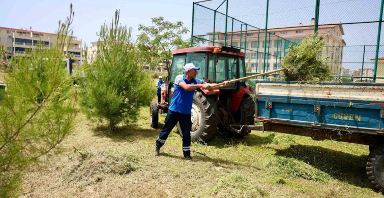 Didim Belediyesi'nden Okul Çevre Düzenleme Çalışmaları