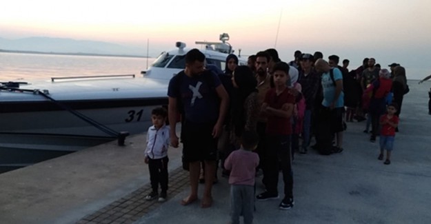 Didim'de 53  Göçmen Yakalandı