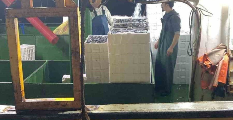 Didim'de Balıkçılara Kota Denetimi