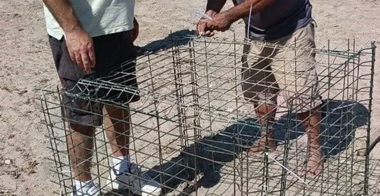 Didim'de Caretta Caretta Yuva Koruma Çalışmaları Devam Ediyor