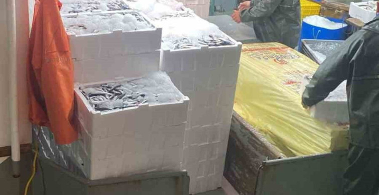 Didim'de Hamsi Kotası Denetimleri Devam Ediyor