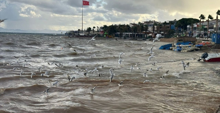 Didim'de Şiddetli Yağış Etkili Oldu