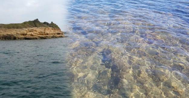 Didim'de Su Altında 5 Bin Senelik Liman Keşfedildi