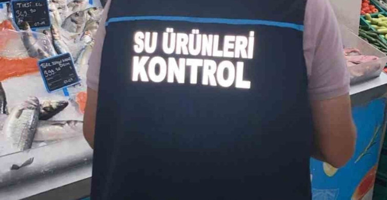 Didim'de su ürünleri denetimleri sürüyor
