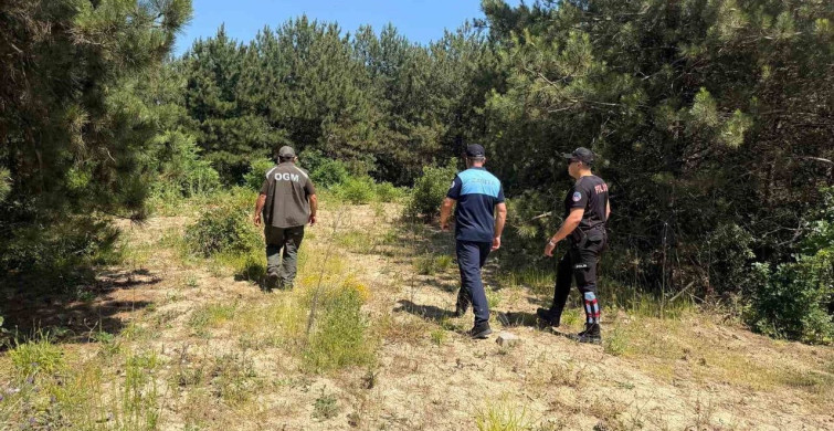 Dilovası’nda Orman Yangınlarına Karşı Denetim