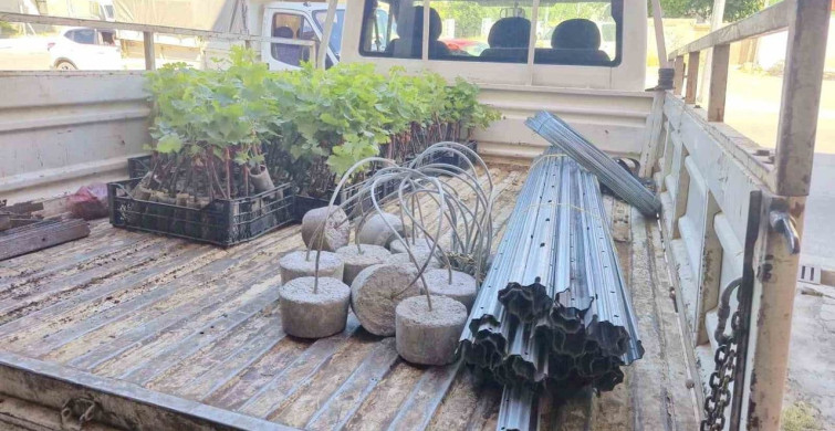 Dinar’da bağcılık projesi başladı