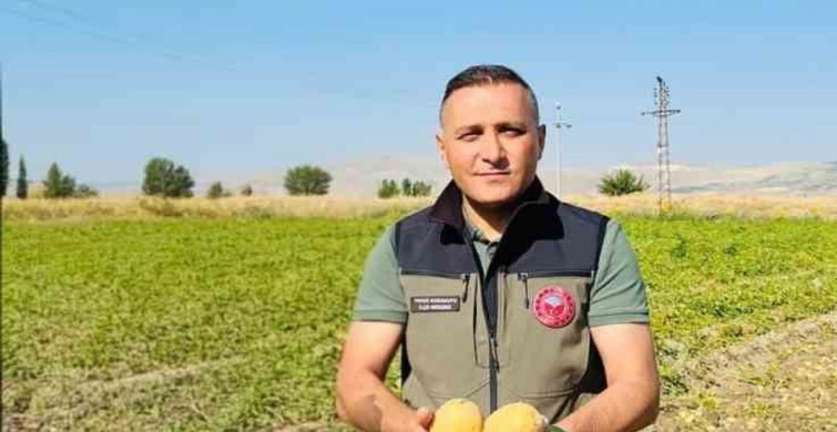 Dinar’da Çölovası patatesi hasadı başladı
