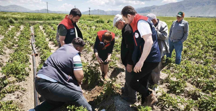 Dinar'daki Dolu Yağışı Tarım Alanlarına Zarar Verdi