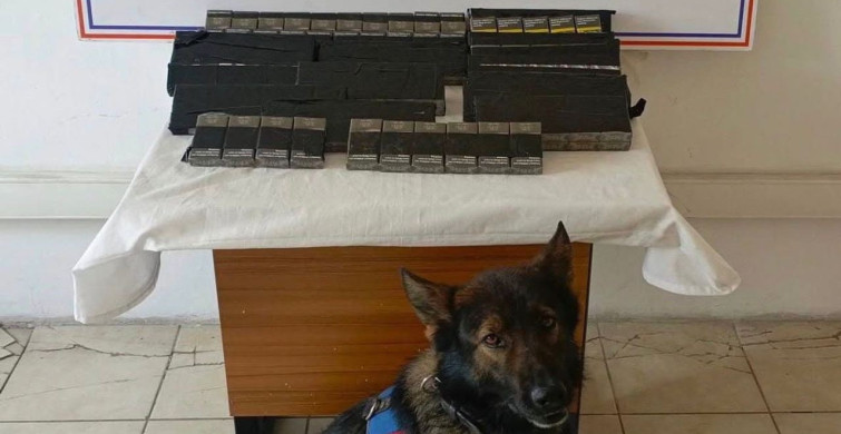 Diyadin'de 180 Paket Kaçak Sigara Ele Geçirildi