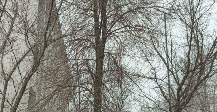 Diyadin'de Nisan Ayında Kar Sürprizi