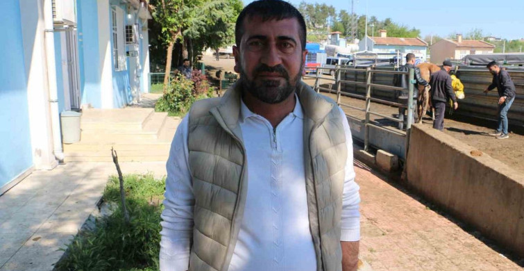 Diyarbakır Canlı Hayvan Borsası Kurbanlık Alımında Yoğunluk