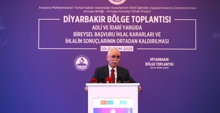 Diyarbakır'da Anayasa Mahkemesi Toplantısı: Hak İhlalleri ve Bireysel Başvuru