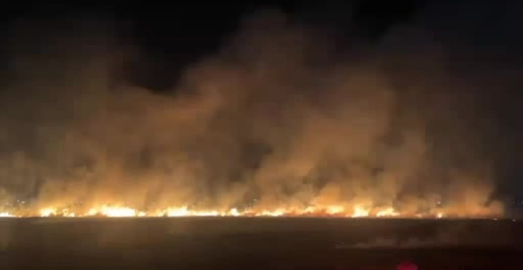 Diyarbakır'da anız yangını geceyi aydınlattı