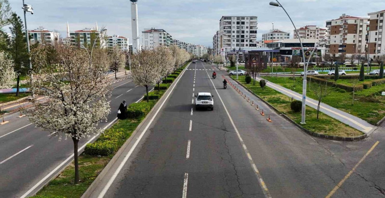 Diyarbakır'da Bahar Şöleni: Süs Armutları