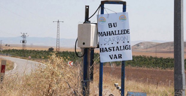 Diyarbakır'da Bir Çocuk Şarbondan Hayatını Kaybetti