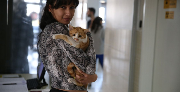 Diyarbakır'da Hayvanlara Ağız ve Diş Tedavisi Hizmeti