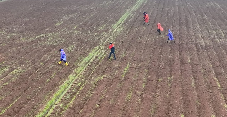 Diyarbakır'da Kaybolan Kadın İçin 12. Gün Arama Çalışmaları Devam Ediyor