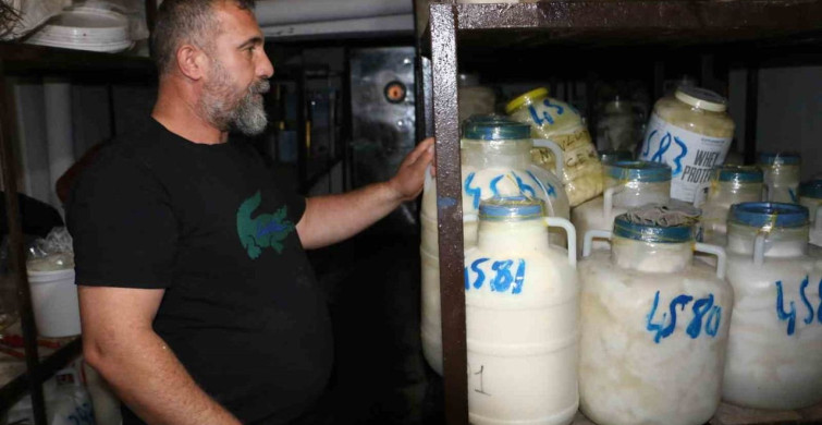 Diyarbakır'da kışlık peynir mesaisi başladı