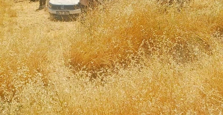 Diyarbakır'da otomobil tarlaya yuvarlandı: 5 yaralı