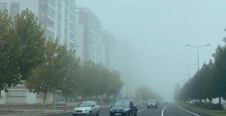 Diyarbakır'da Sis Etkisi Sürücüleri Zorluyor