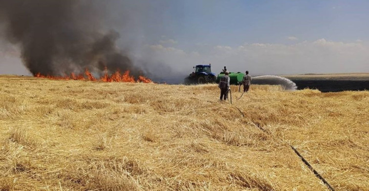 Diyarbakır'da yangın: yüzlerce dönüm arazi alevlere teslim oldu