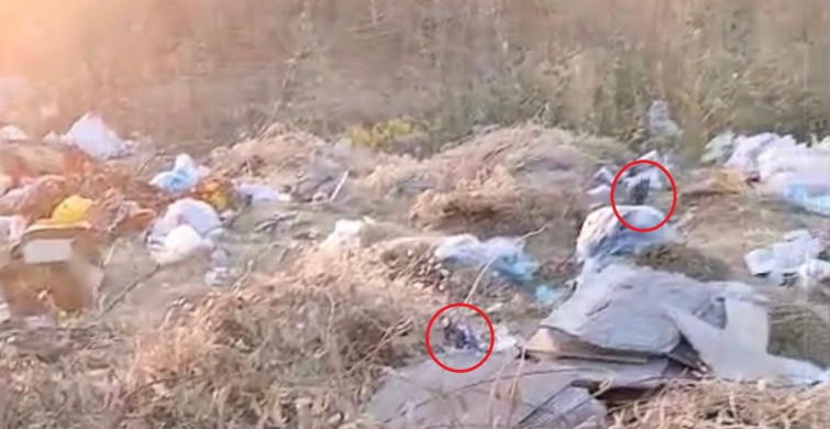 Diyarbakır'daki boş arazi çöp yığınına dönüştü