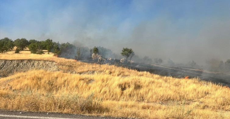 Diyarbakır'daki Kırsal Yangına Müdahale Devam Ediyor