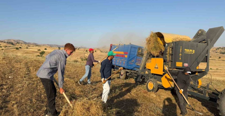 Diyarbakır’ın çüngüş ilçesinde mercimek hasadı tamamlandı