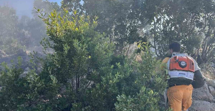 Diyarbakır'ın Hazro ilçesinde orman yangını: 15 dönüm zarar gördü