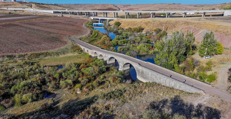 Diyarbakır'da Balıklardan Endişe Verici Durum