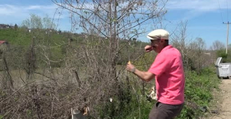 Doğadan Gelen Gelenek: Turgut Özcan'ın Balık Sepeti Yapma Sanatı