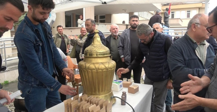 Doğadan Tarlaya: Samsun'da Salep Hasat Etkinliği