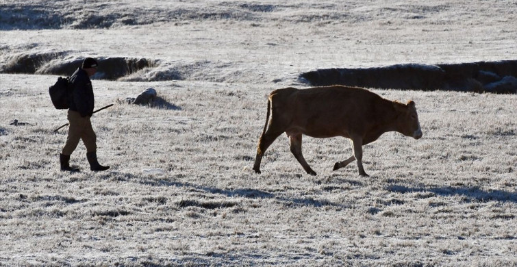 Doğu Anadolu Bölgesi'nde Soğuk Hava ve Sis