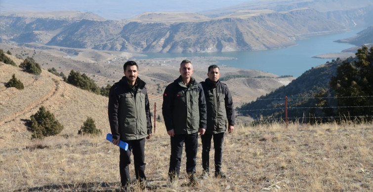 Doğu Anadolu'da 9 Milyon Fidan ve Tohum Toprakla Buluştu