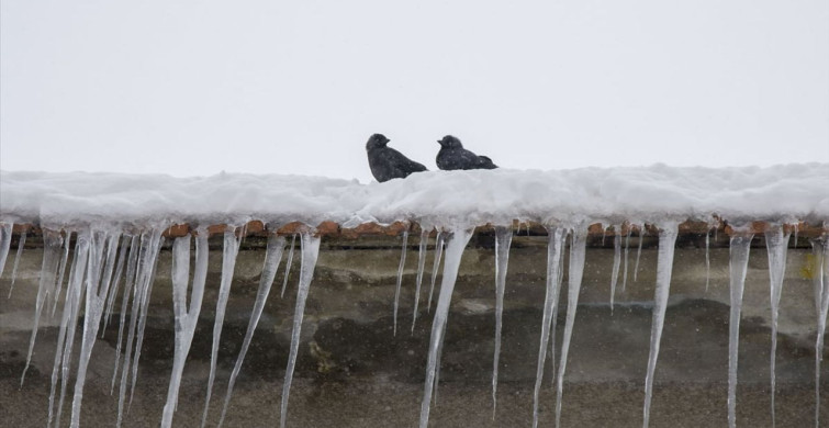 Doğu Anadolu'da Dondurucu Soğuklar Etkili Oluyor