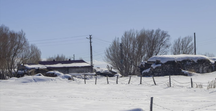 Doğu Anadolu'da Kar Yağışı Etkili Oldu