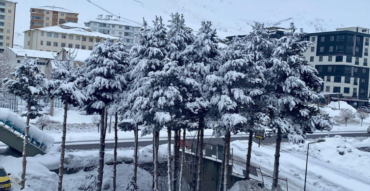 Doğu Anadolu'da Olumsuz Hava Koşulları Ulaşımı Engelliyor