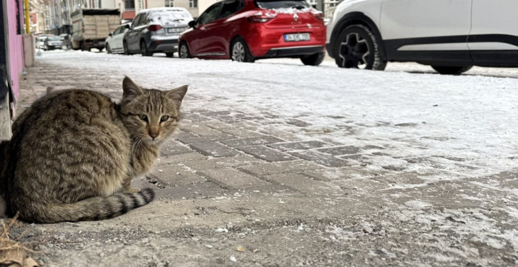 Doğu Anadolu'da Soğuk Hava Etkisi