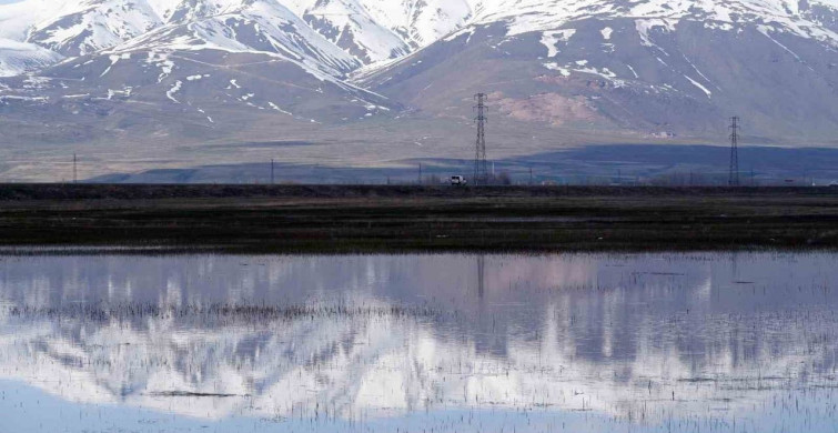 Doğu'da Zirai Don Riski