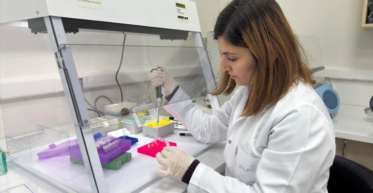 Dokuz Eylül Üniversitesi Teknoparkı'nın İhracat Başarısı