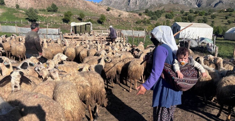 Dolandırıcılık Uyarısı: Kırsalda Bereket Destek Projesi Hakkında Bilgilendirme