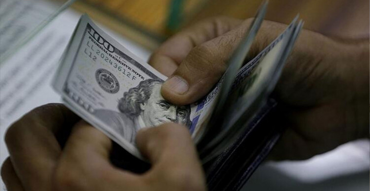 Dolar İçin Önemli Uyarı! Panik Önlendi