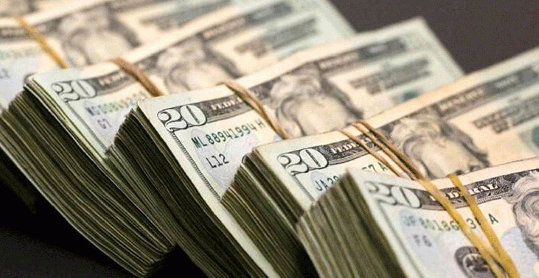 Dolar Tarihi Zirvede 8.89!