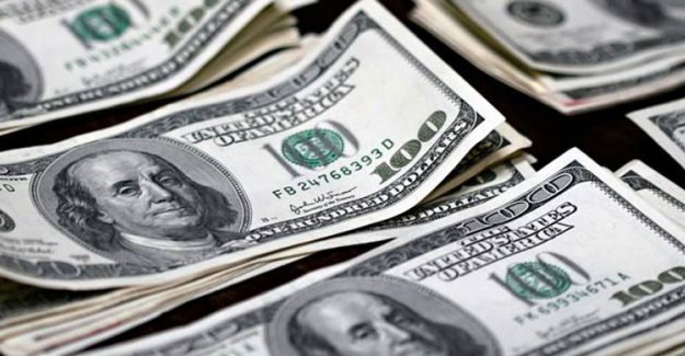 Dolar Yeni Kabineye Karşı Fazla Isındı