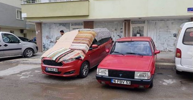 Doluya Karşı Seccadeli Önlem
