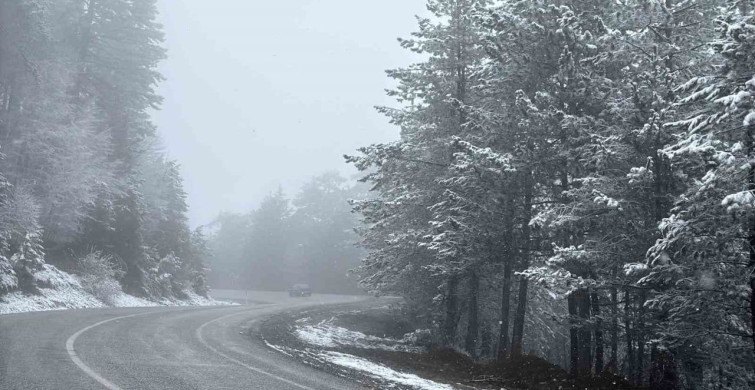 Domaniç Dağı'nda Kar Yağışı Ulaşımı Olumsuz Etkiledi
