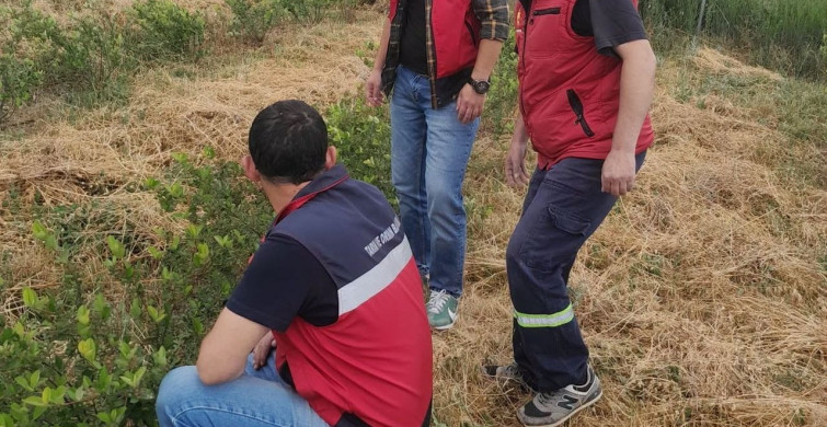 Domaniç’te aronya üretimine yönelik teknik çalışmalar devam ediyor